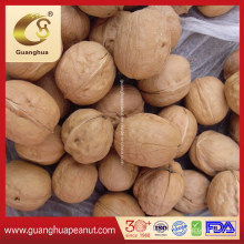 Hot Sales Walnut in Shell From China